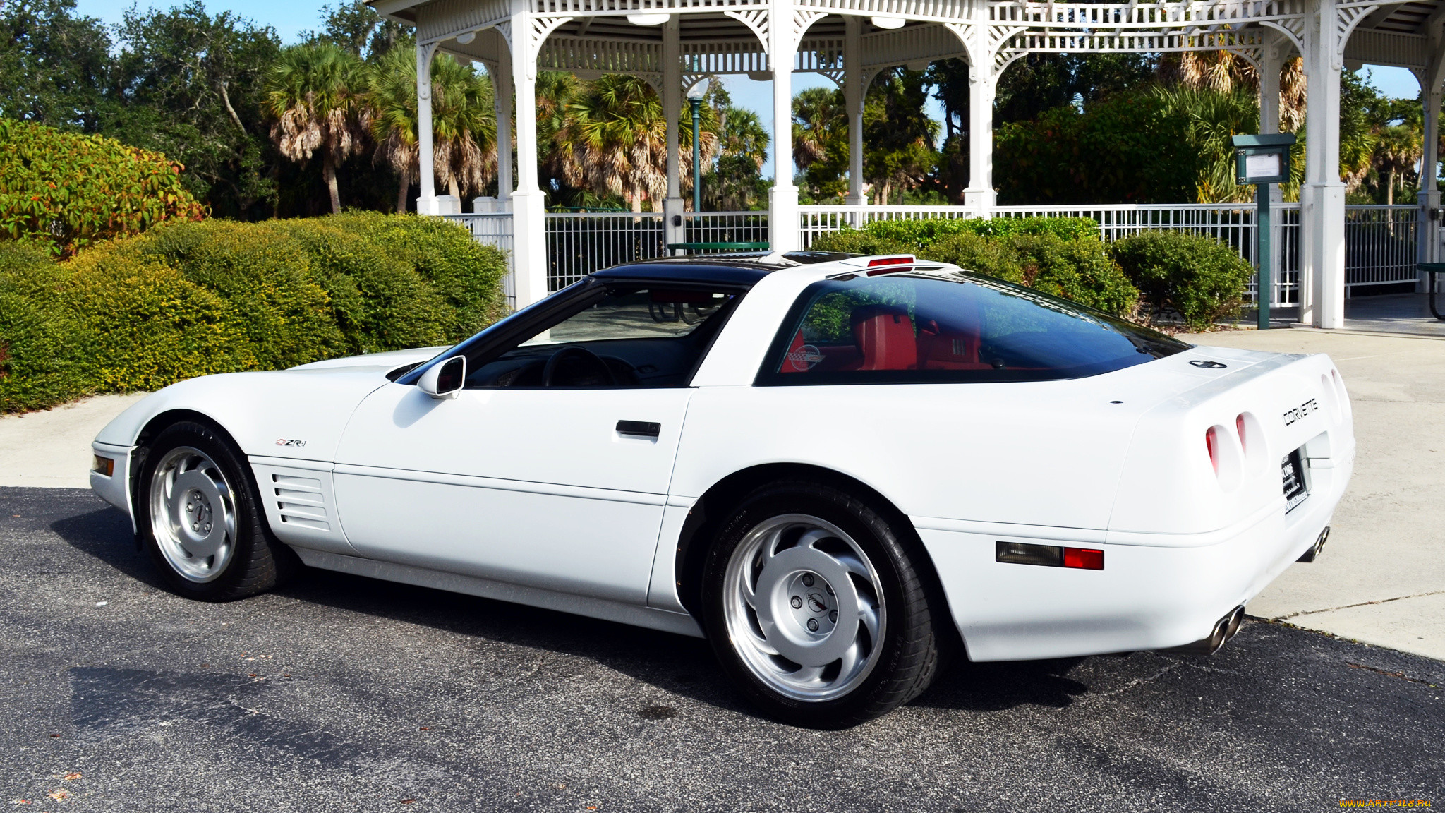 chevrolet corvette, , corvette, general, , chevrolet, , motors